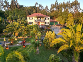 Homeoffice Madeira - CoLiving & Coworking with a nice community